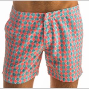 98 coast av mens swimsuit